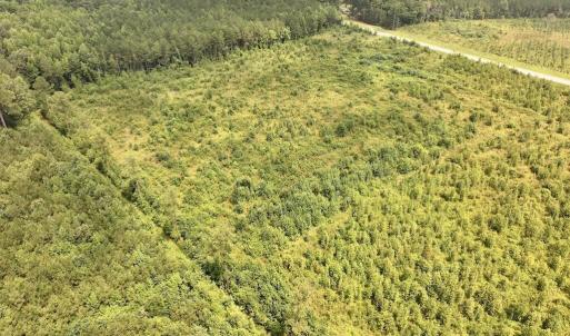Photo #9 of Hwy 561, Halifax, NC 24.5 acres