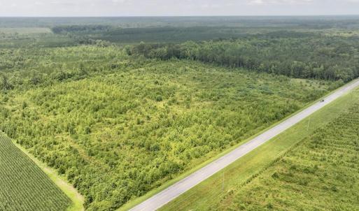 Photo #17 of Hwy 561, Halifax, NC 24.5 acres