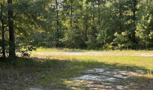 Photo #4 of Gully Creek, Leland, NC 25.6 acres