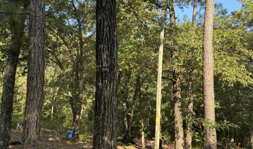Photo #5 of Gully Creek, Leland, NC 25.6 acres