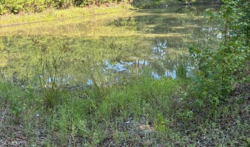 Photo #2 of Gully Creek, Leland, NC 25.6 acres