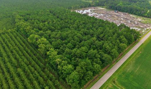 Photo #2 of Saintsville, Greenville, NC 11.5 acres