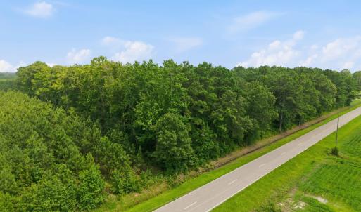 Photo #11 of Saintsville, Greenville, NC 11.5 acres