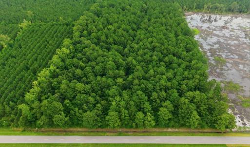 Photo #8 of Saintsville, Greenville, NC 11.5 acres
