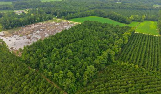 Photo #5 of Saintsville, Greenville, NC 11.5 acres