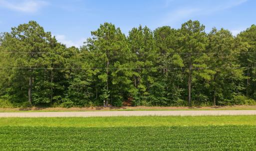 Photo #12 of Saintsville, Greenville, NC 11.5 acres