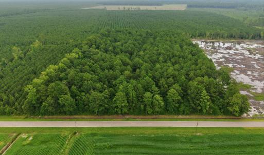 Photo #9 of Saintsville, Greenville, NC 11.5 acres