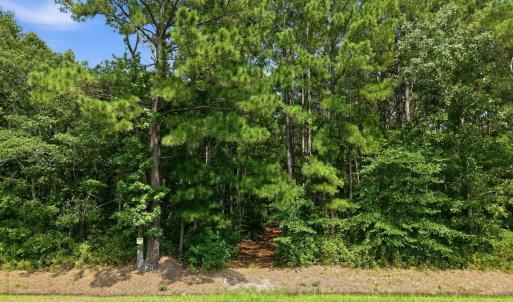 Photo #13 of Saintsville, Greenville, NC 11.5 acres