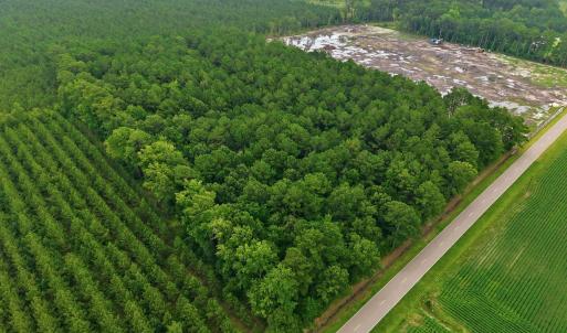 Photo #2 of Saintsville, Greenville, NC 11.5 acres