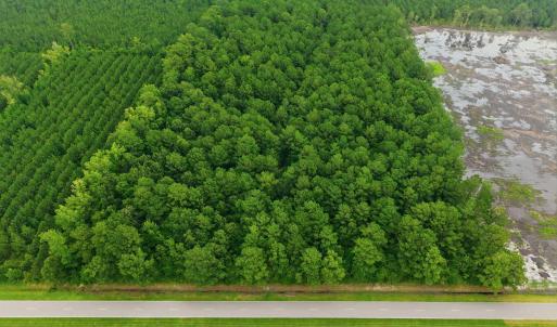 Photo #8 of Saintsville, Greenville, NC 11.5 acres