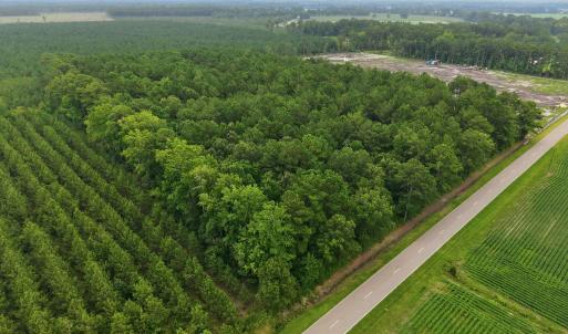 Photo #1 of Saintsville, Greenville, NC 11.5 acres