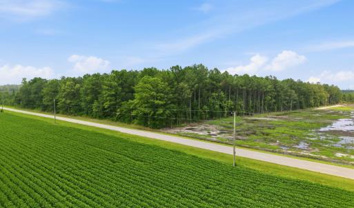 Photo #10 of Saintsville, Greenville, NC 11.5 acres