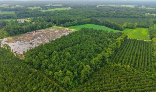 Photo #6 of Saintsville, Greenville, NC 11.5 acres