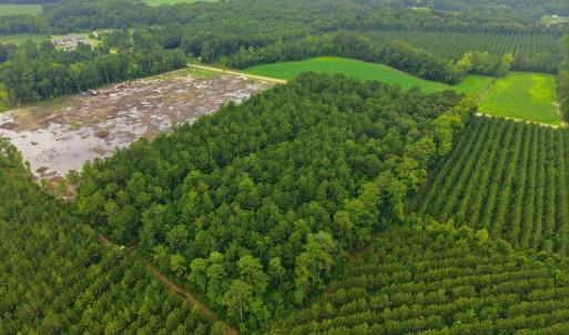 Photo #5 of Saintsville, Greenville, NC 11.5 acres