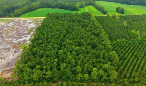 Photo #7 of Saintsville, Greenville, NC 11.5 acres