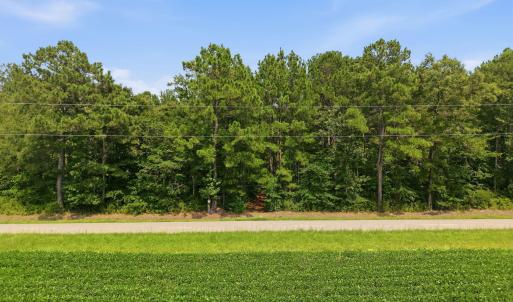 Photo #12 of Saintsville, Greenville, NC 11.5 acres