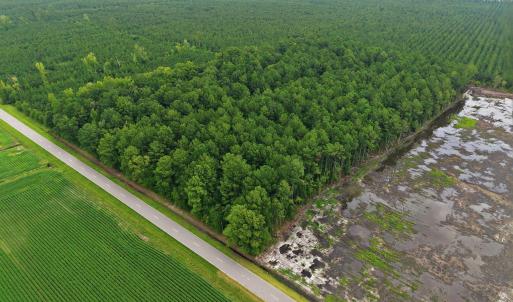 Photo #3 of Saintsville, Greenville, NC 11.5 acres