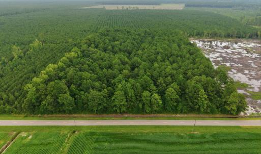 Photo #9 of Saintsville, Greenville, NC 11.5 acres