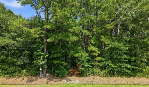 Photo #13 of Saintsville, Greenville, NC 11.5 acres