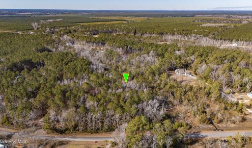 Photo #2 of 256 Hardesty Loop, Newport, NC 10.1 acres