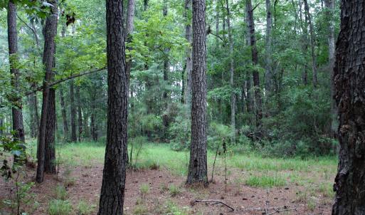 Photo #4 of 6781 Hanbury, Ocean Isle Beach, NC 0.4 acres