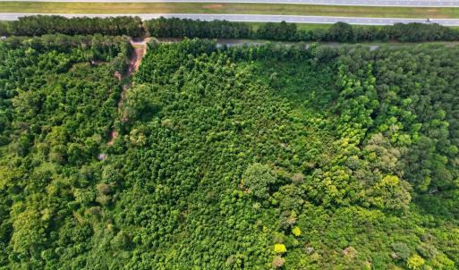 Photo #12 of 382 Alston Horton Service, Pittsboro, NC 25.4 acres