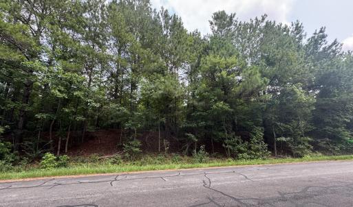 Photo #4 of 382 Alston Horton Service, Pittsboro, NC 25.4 acres