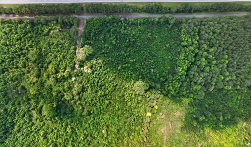 Photo #10 of 382 Alston Horton Service, Pittsboro, NC 25.4 acres
