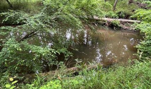 Photo #2 of 1188 Long Cane, Edgefield, SC 20.0 acres