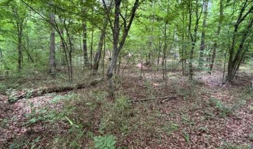 Photo #5 of 1188 Long Cane, Edgefield, SC 20.0 acres