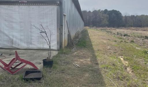 Photo #3 of 5650 Old 125, Scotland Neck, NC 11.4 acres