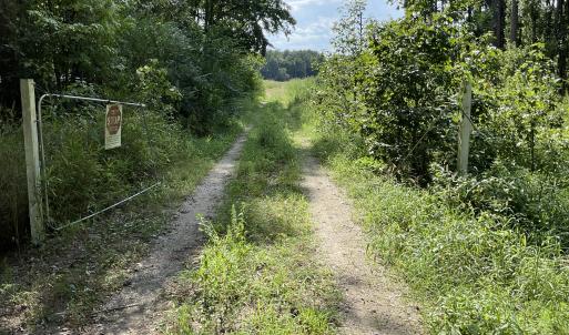 Photo #7 of 5650 Old 125, Scotland Neck, NC 11.4 acres
