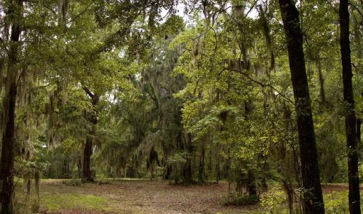 Photo #33 of 385 Sand Ridge, New Bern, NC