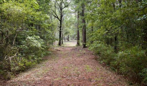 Photo #34 of 385 Sand Ridge, New Bern, NC
