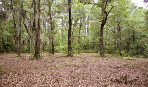 Photo #13 of 385 Sand Ridge, New Bern, NC