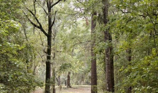 Photo #35 of 385 Sand Ridge, New Bern, NC