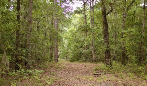Photo #5 of 385 Sand Ridge, New Bern, NC