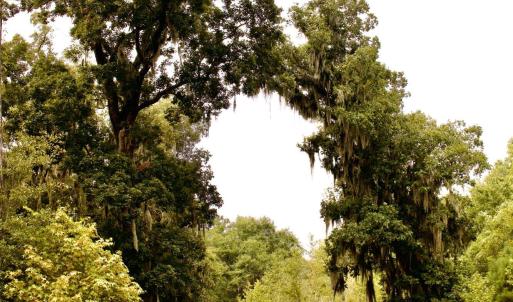 Photo #23 of 385 Sand Ridge, New Bern, NC