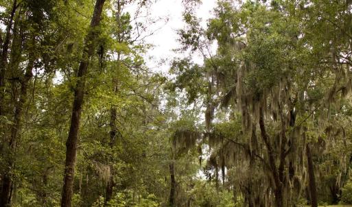 Photo #31 of 385 Sand Ridge, New Bern, NC