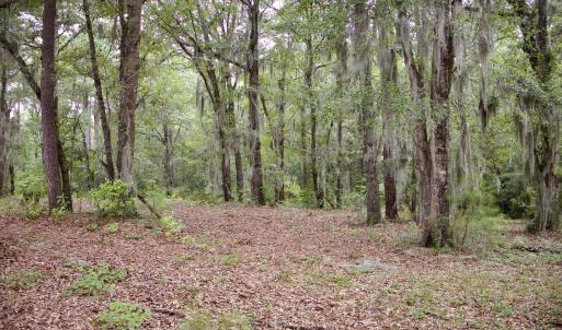 Photo #12 of 385 Sand Ridge, New Bern, NC