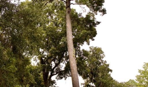 Photo #22 of 385 Sand Ridge, New Bern, NC