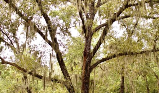 Photo #9 of 385 Sand Ridge, New Bern, NC