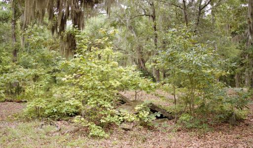 Photo #7 of 385 Sand Ridge, New Bern, NC