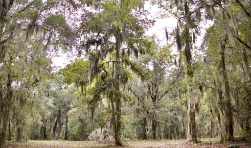 Photo #28 of 385 Sand Ridge, New Bern, NC