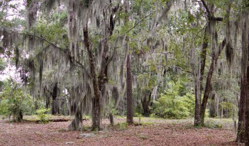 Photo #4 of 385 Sand Ridge, New Bern, NC