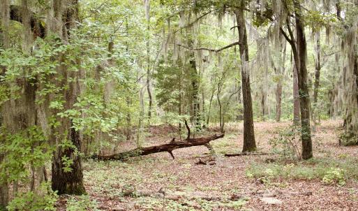 Photo #15 of 385 Sand Ridge, New Bern, NC