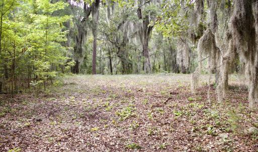 Photo #27 of 385 Sand Ridge, New Bern, NC