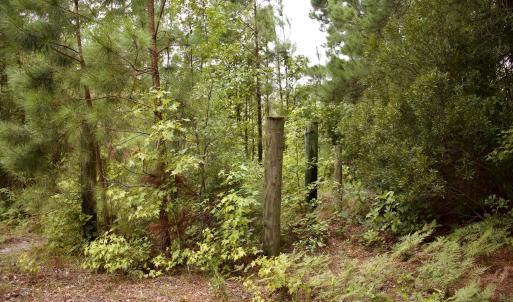 Photo #20 of 385 Sand Ridge, New Bern, NC