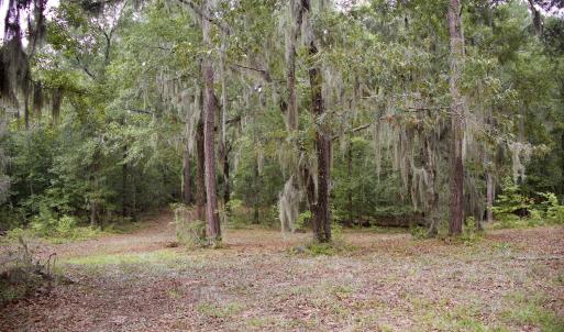 Photo #6 of 385 Sand Ridge, New Bern, NC