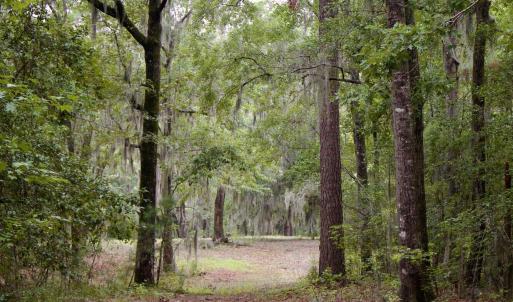 Photo #2 of 385 Sand Ridge, New Bern, NC